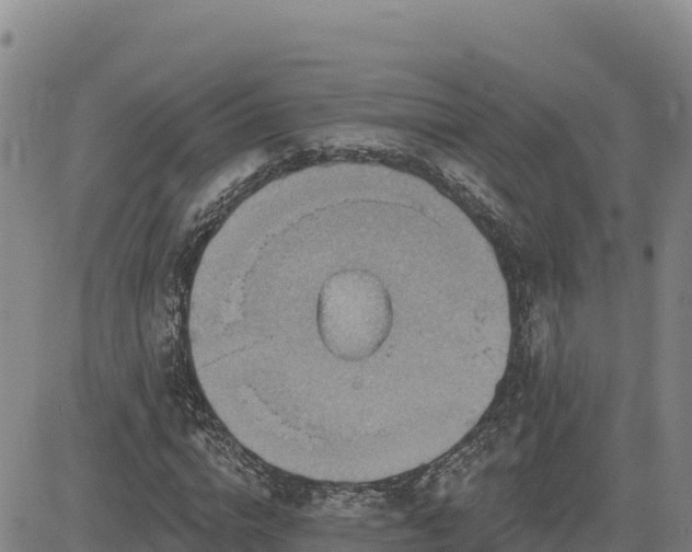 X0000084600824200703021623