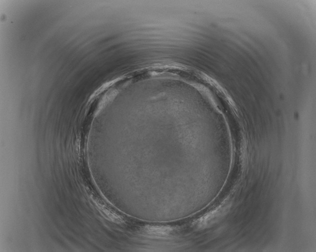 X0000084600825200703021623