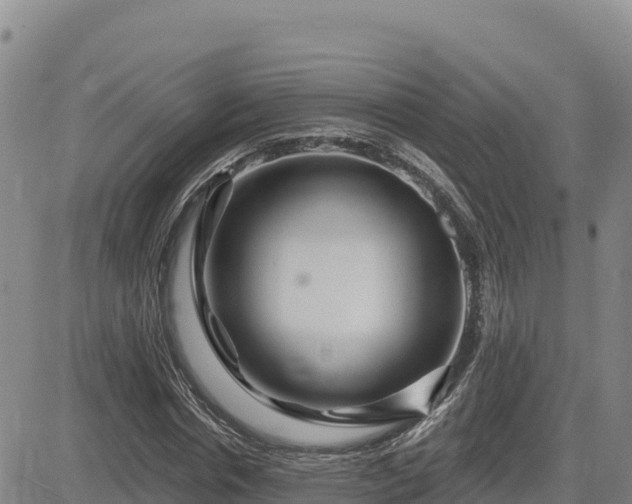 X0000084600826200703021623