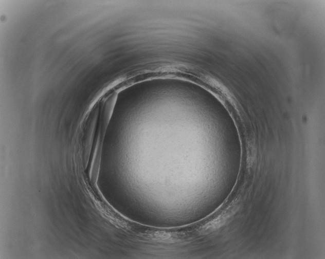 X0000084600827200703021623