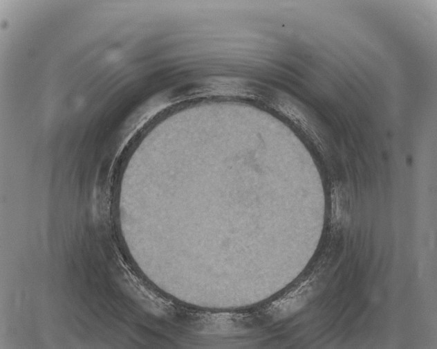 X0000084600828200703021623