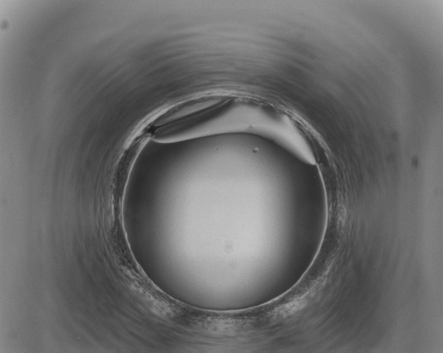 X0000084600829200703021623