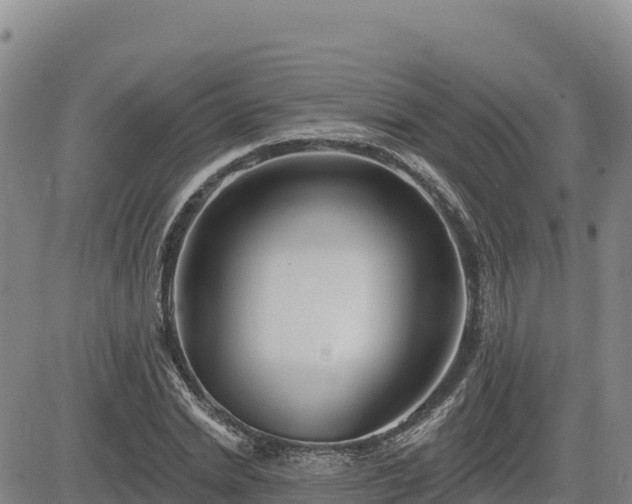 X0000084600830200703021623