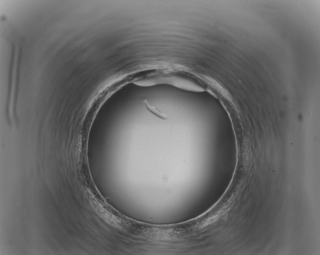 X0000084600831200703021623