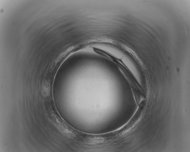 X0000084600833200703021623