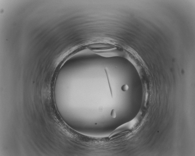 X0000084600834200703021623