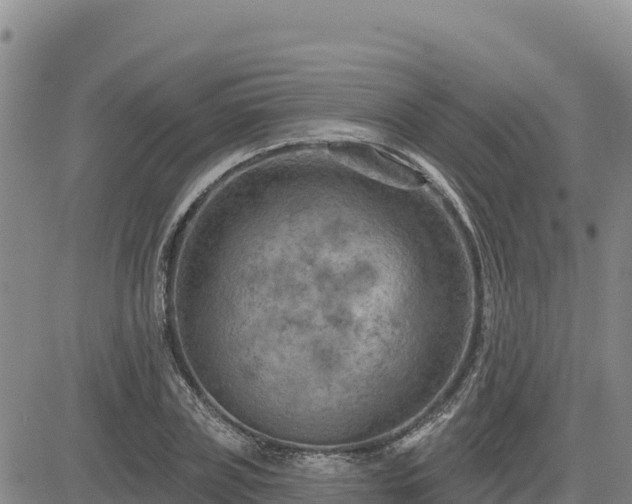 X0000084600835200703021623