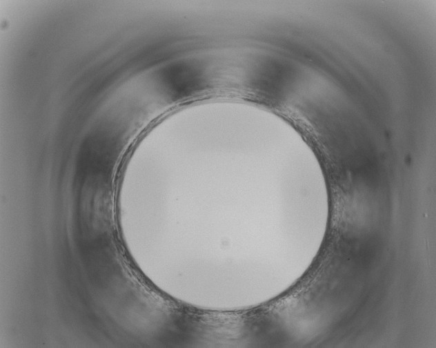 X0000084600836200703021623