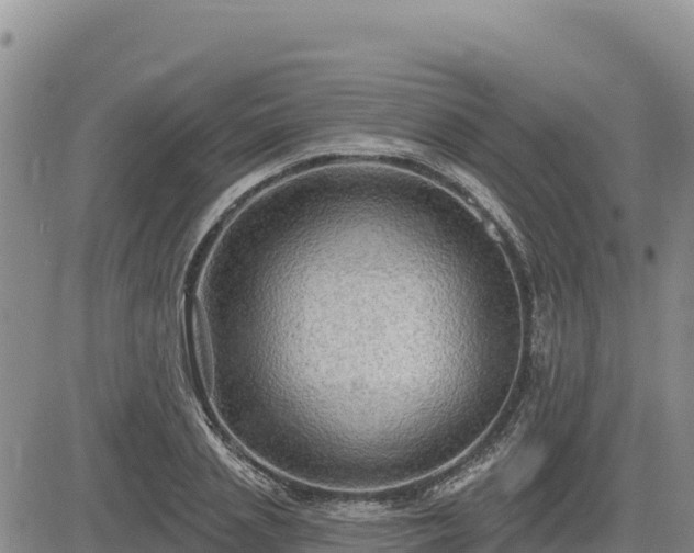 X0000084600837200703021623