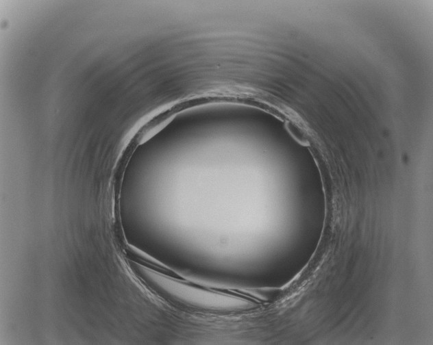 X0000084600838200703021623