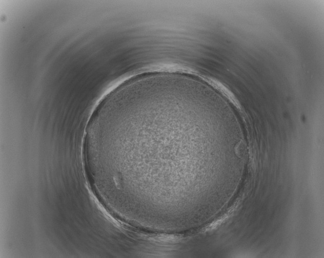 X0000084600839200703021623