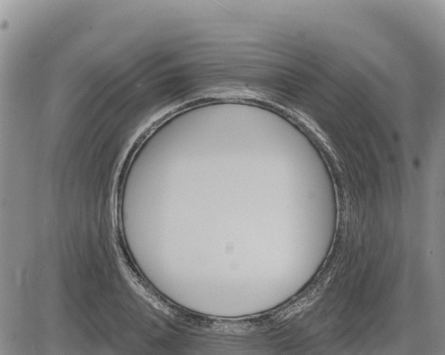 X0000084600840200703021623