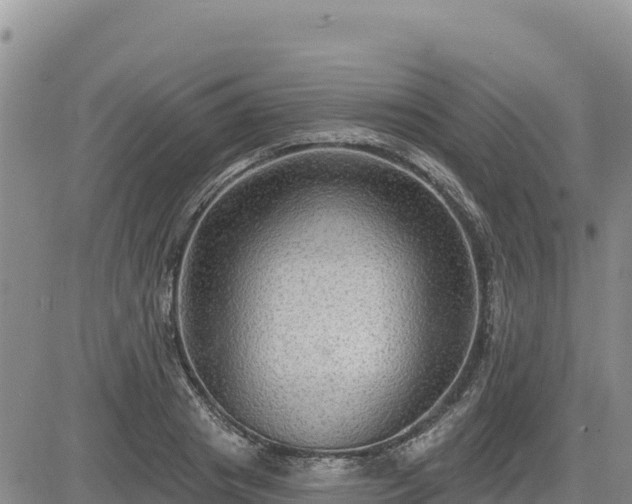 X0000084600841200703021623