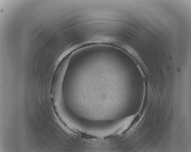 X0000084600842200703021623