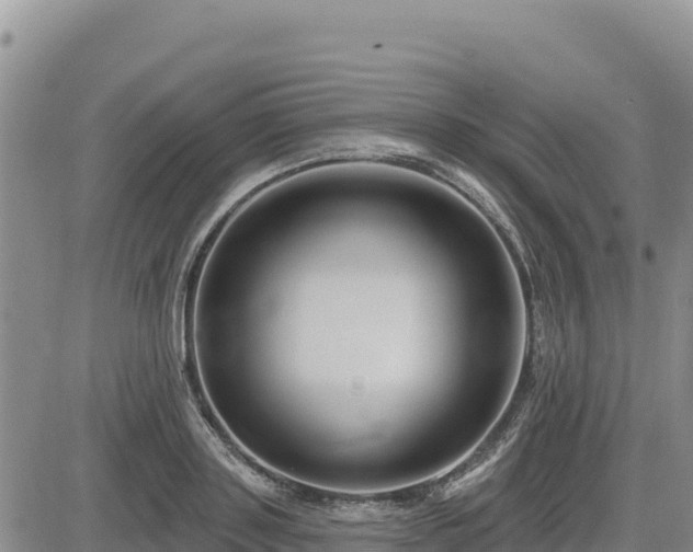 X0000084600843200703021623