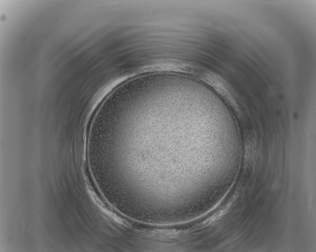 X0000084600844200703021623