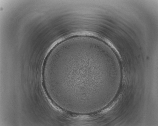 X0000084600845200703021623