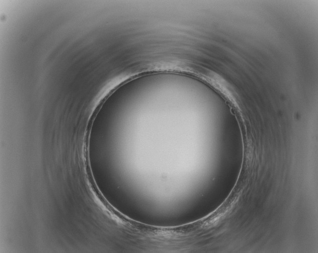 X0000084600847200703021623