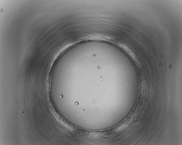 X0000084600848200703021623