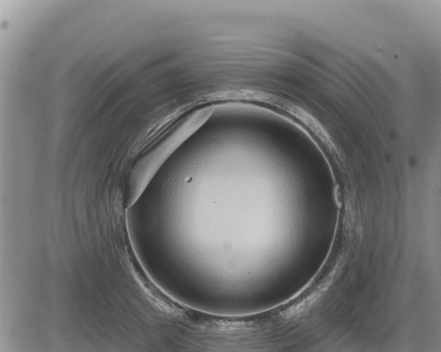 X0000084600849200703021623