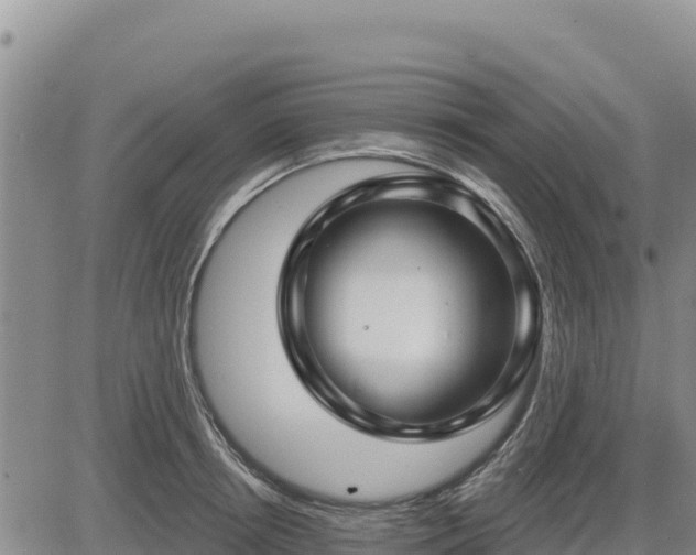 X0000084600850200703021623