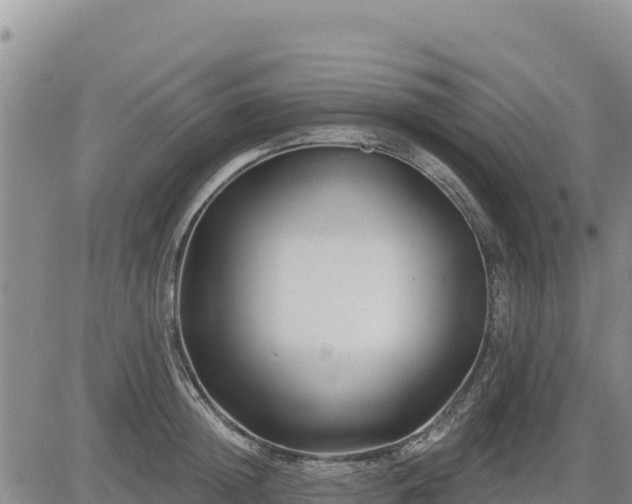 X0000084600852200703021623