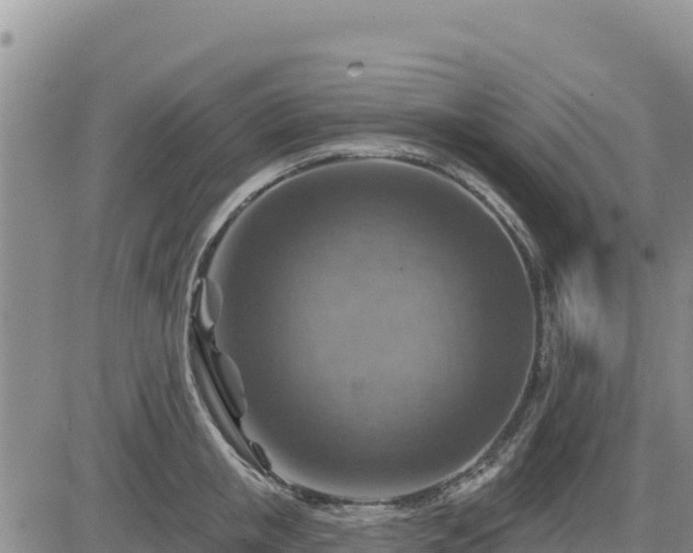 X0000084600853200703021623