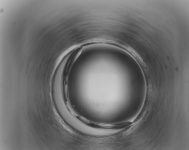 X0000084600854200703021624