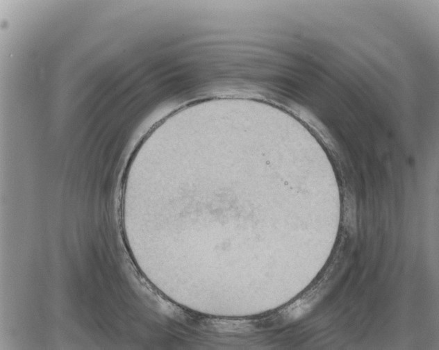 X0000084600856200703021624