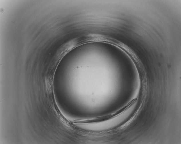 X0000084600857200703021624