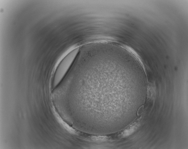 X0000084600859200703021624