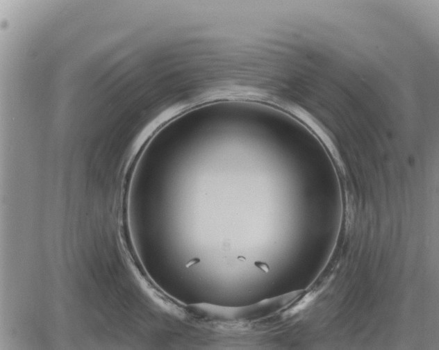 X0000084600861200703021624