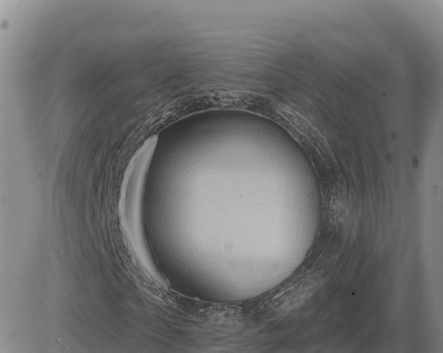 X0000084600865200703021623