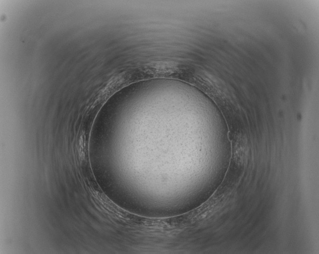 X0000084600866200703021623