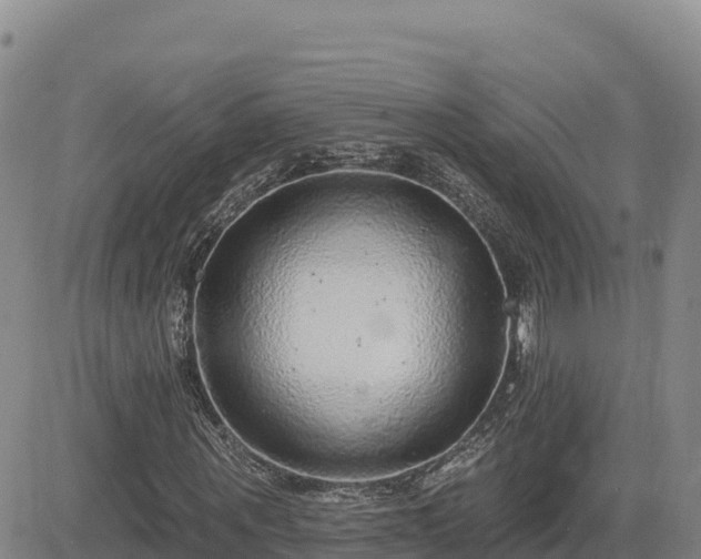 X0000084600867200703021623