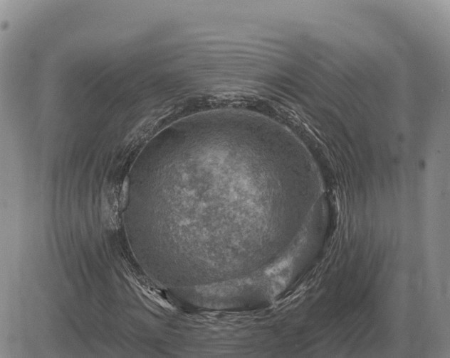 X0000084600868200703021623