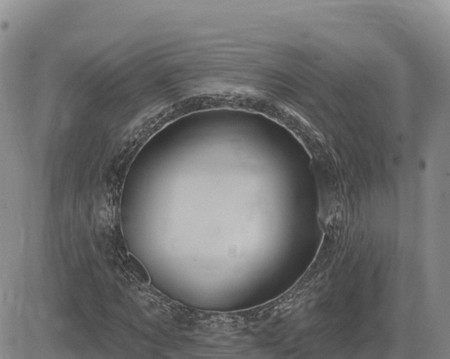 X0000084600869200703021623