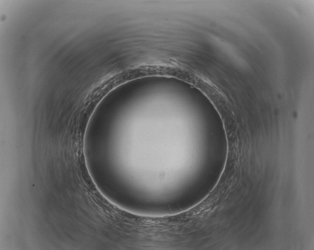 X0000084600870200703021623