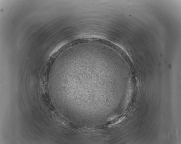 X0000084600871200703021623