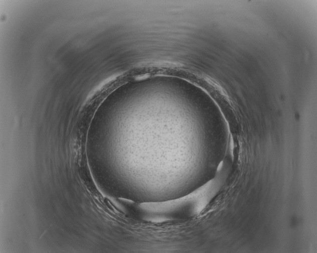 X0000084600872200703021623