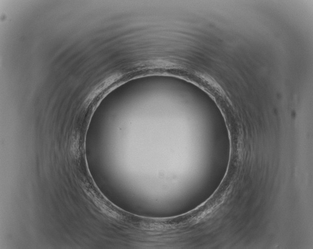 X0000084600873200703021623