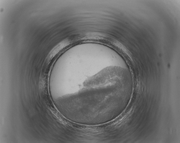 X0000084600874200703021623