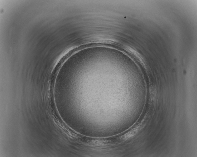 X0000084600875200703021623