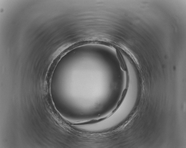 X0000084600876200703021623