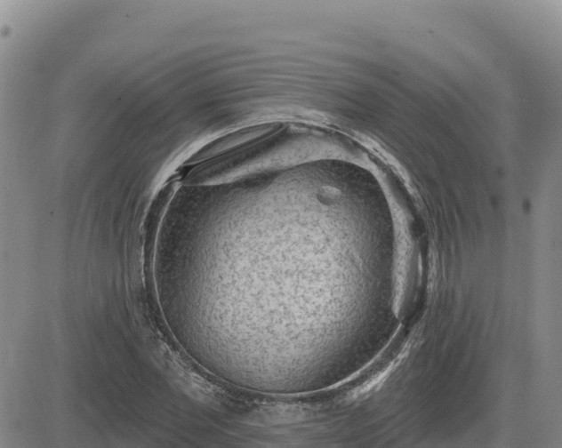 X0000084600877200703021623