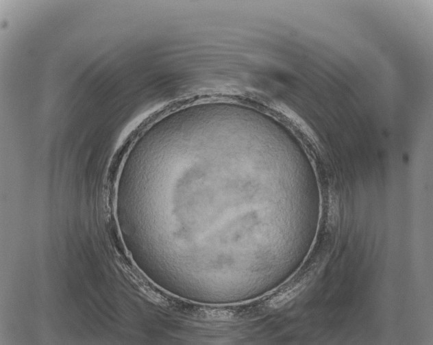 X0000084600878200703021623