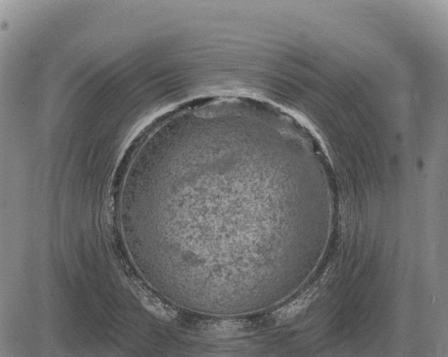 X0000084600879200703021623