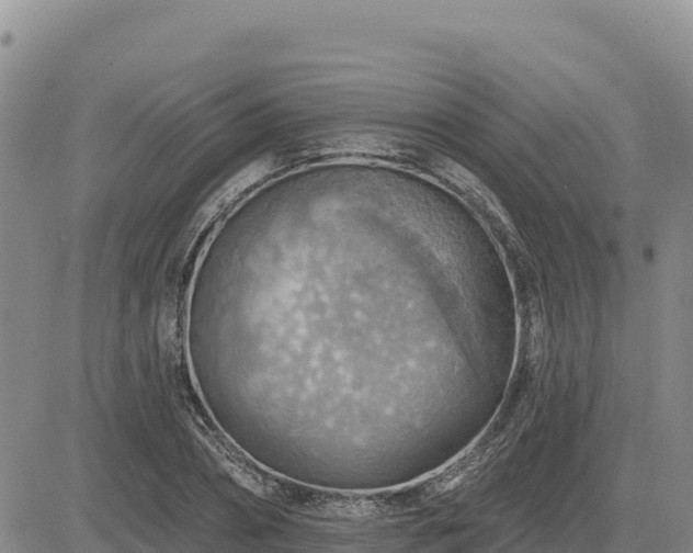 X0000084600882200703021623