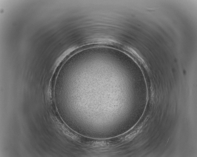 X0000084600883200703021622