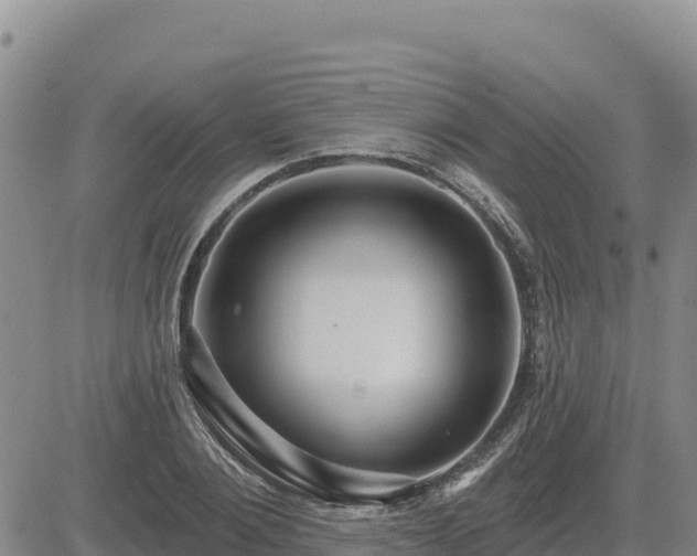 X0000084600884200703021622